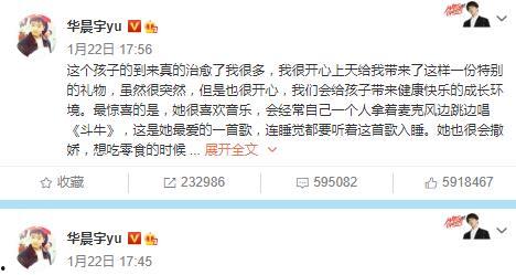 娱乐圈的那个吃瓜文件,真相与谣言的交织