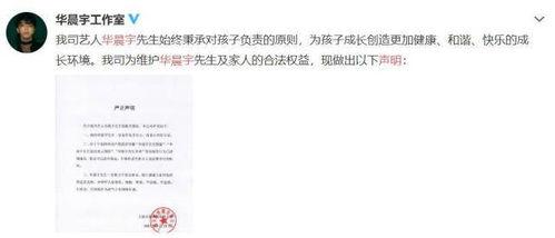 娱乐圈的那个吃瓜文件,真相与谣言的交织