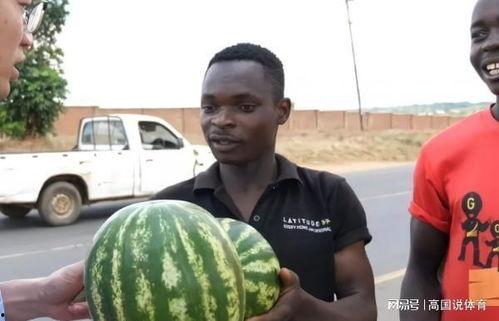 吃瓜的娱乐号是什么,吃瓜群众热议的娱乐号背后的故事