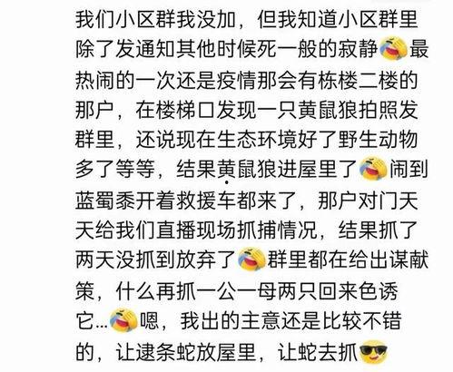 娱乐吃瓜酱名言大全集下载,笑料百出，智慧闪耀