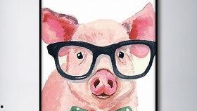 猪头娱乐圈吃瓜,揭秘明星幕后吃瓜大揭秘